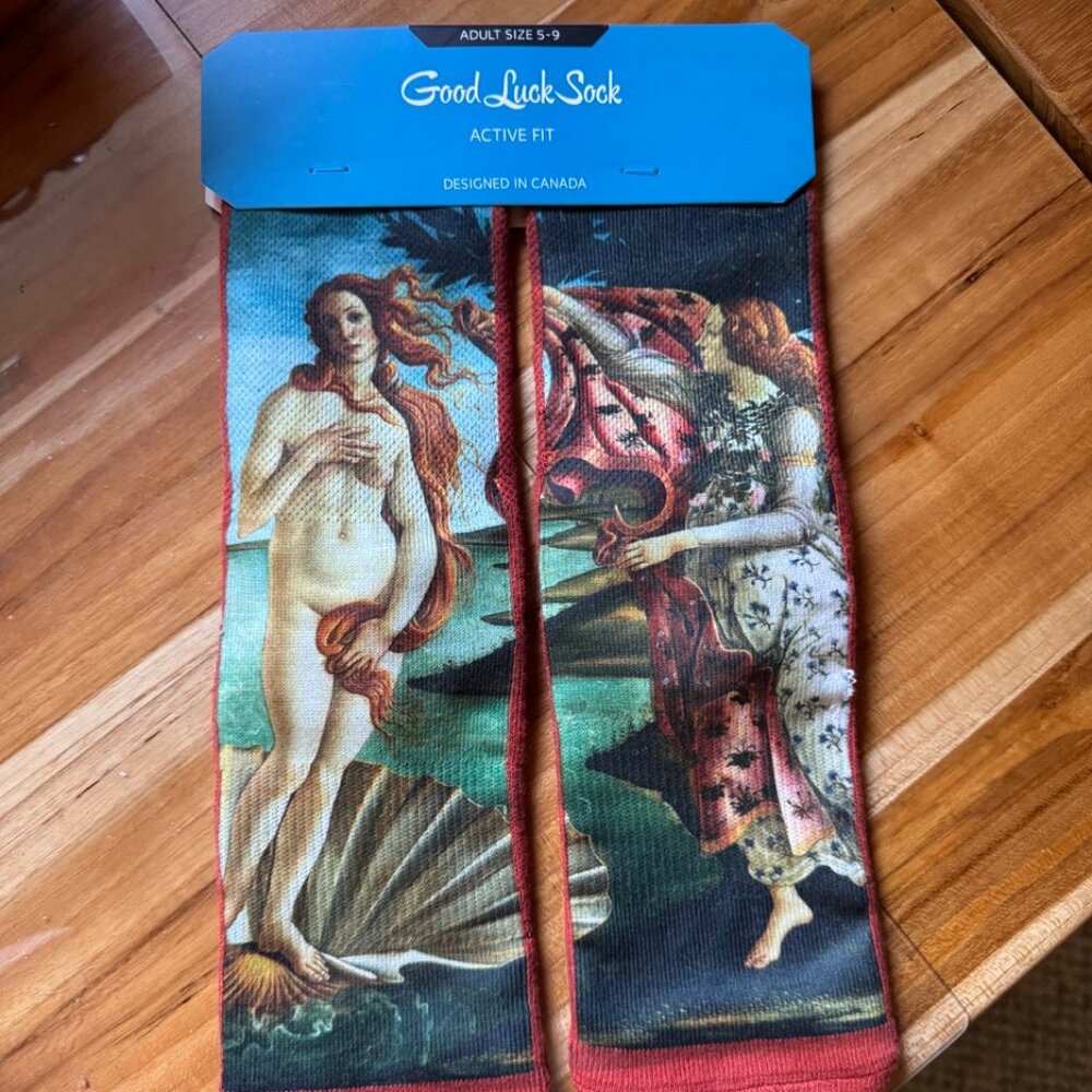 NWT Good Luck SOCKS Active Fit (size 5 - 9 adult)